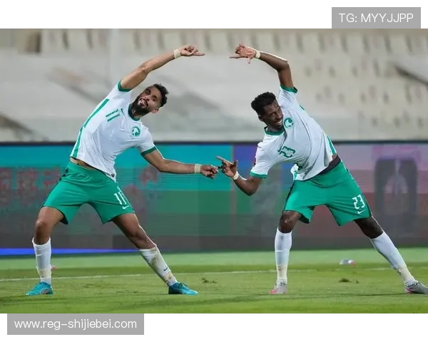 足球世界杯预选赛亚洲区比赛规则与晋级机制详解